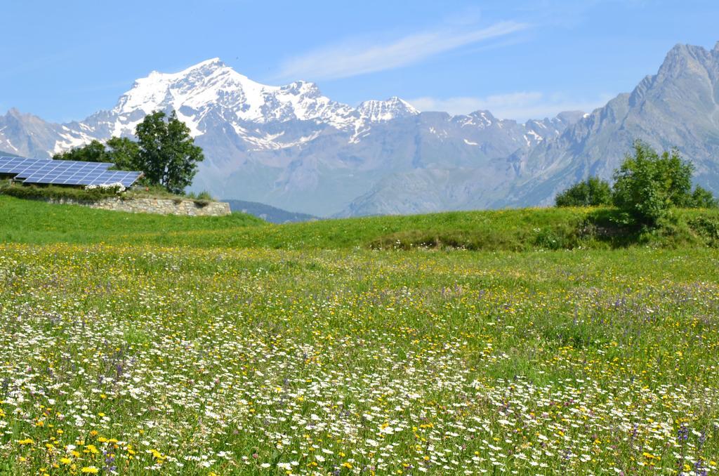 Lo Coppa Fen Lägenhet Aosta Exteriör bild